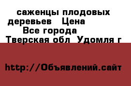 саженцы плодовых деревьев › Цена ­ 6 080 - Все города  »    . Тверская обл.,Удомля г.